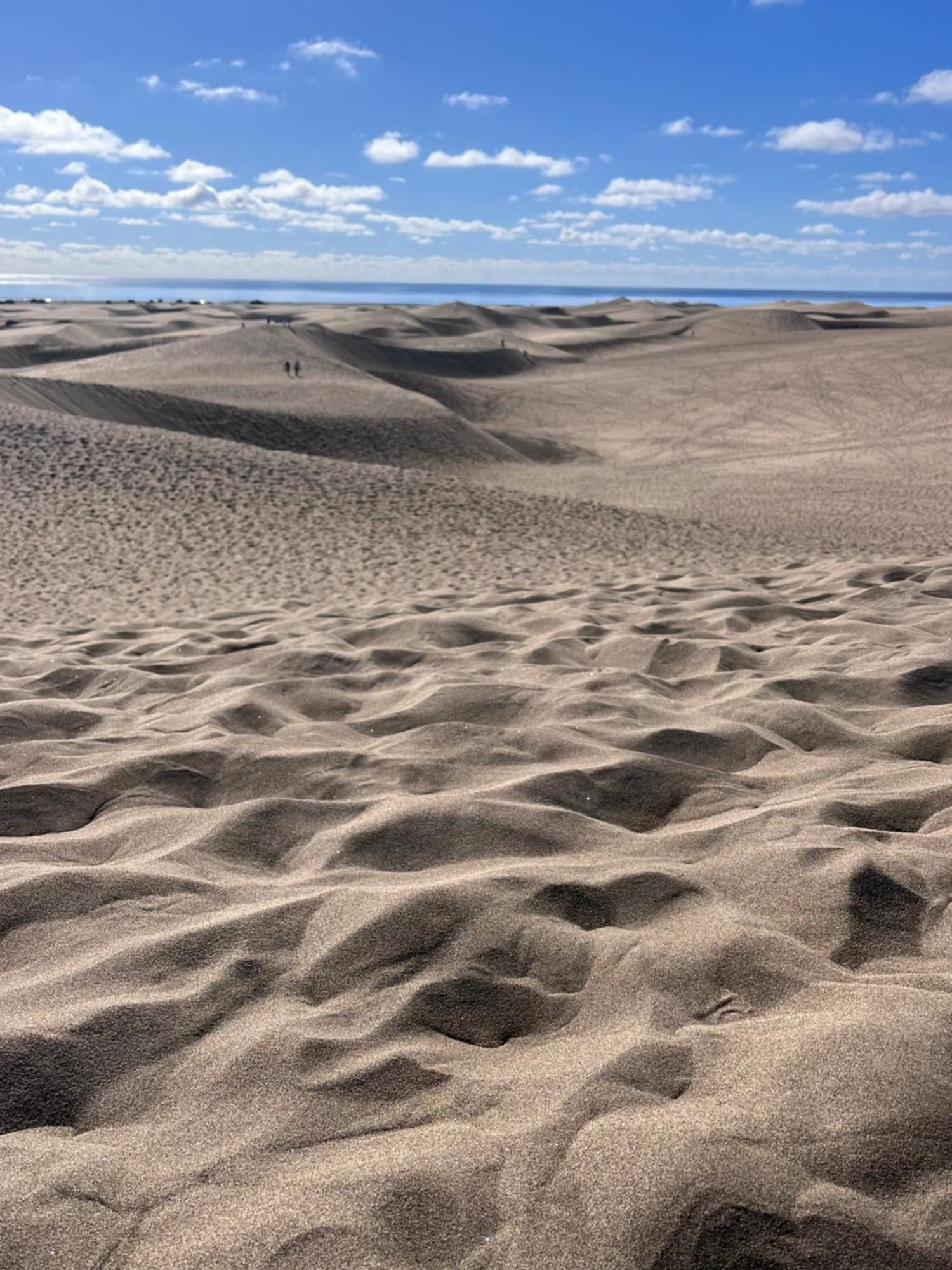 Lovely Apartament Taidia Maspalomas  Zewnętrze zdjęcie